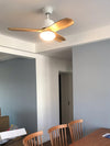 Harborough 3 Ceiling Fan Light
