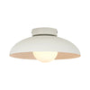 Harper Glass Dome Ceiling Lamp