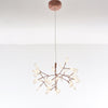 heracleum-chandelier