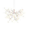 heracleum-chandelier