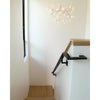 heracleum-chandelier