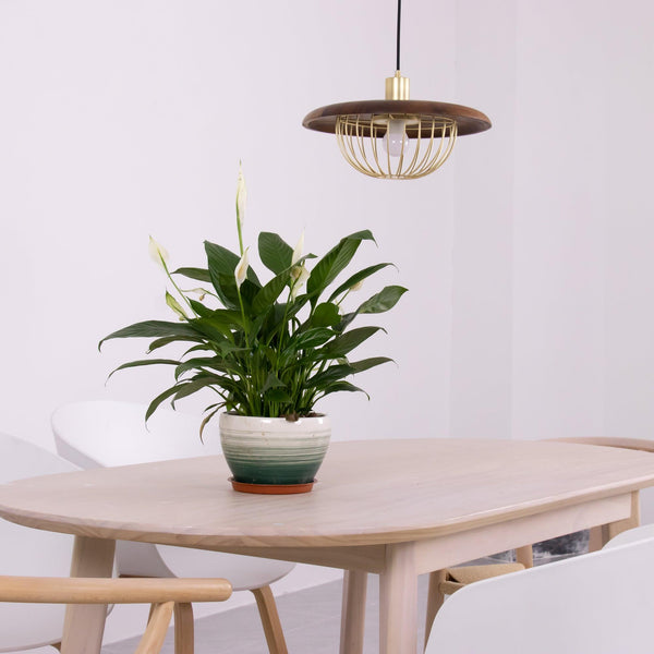 Wooden Lamp Pendant Light