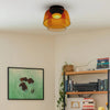 Levels Ceiling Light