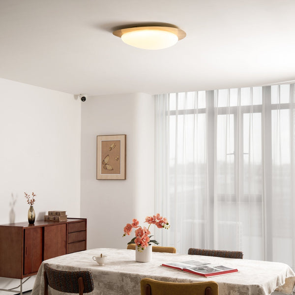 Lola Pebble Ceiling Lamp
