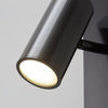 Long Arm Plug In Wall Light