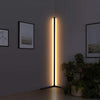 Minimalist Led Floor Lamp