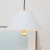 Levitate Pendant Lamp