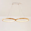 Mobius Ring Pendant Light