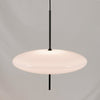 Model 2065 Pendant Lamp