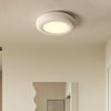 Modern Oval Ceiling Light