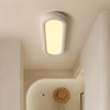 Modern Oval Ceiling Light