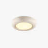 Modern Oval Ceiling Light