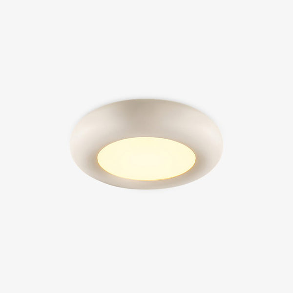 Modern Oval Ceiling Light