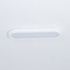 Modern Oval Ceiling Light