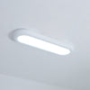 Modern Oval Ceiling Light