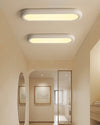 Modern Oval Ceiling Light