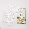Monkey Chandelier
