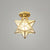 moravian-star-brass-ceiling-light
