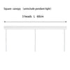 North Pendant Light