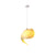 Nautilus Shell Pendant Light
