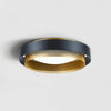 Nolan Ceiling Light
