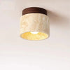 flush-mounted-ceiling-lamp-loanword
