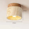 flush-mounted-ceiling-lamp-loanword