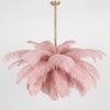 Ostrich Feather Pendant Lamp