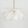 Ostrich Feather Pendant Lamp