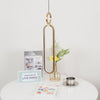 Led Oval Linear Pendant Light