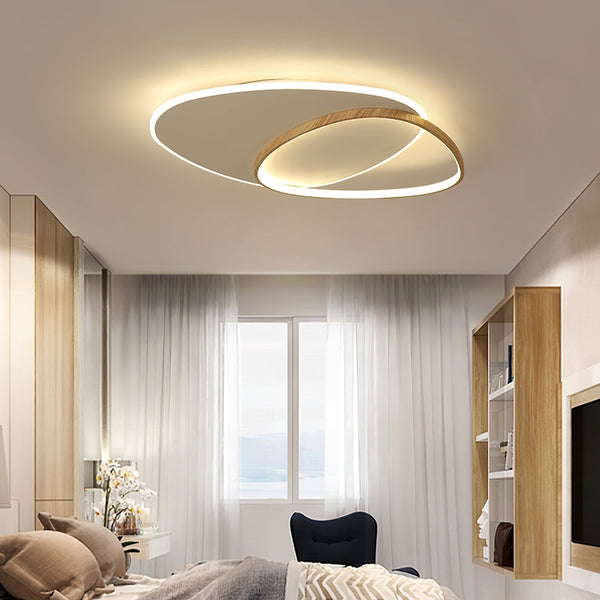 Oval Simple LED Ceiling Light