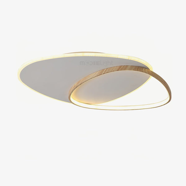 Oval Simple LED Ceiling Light