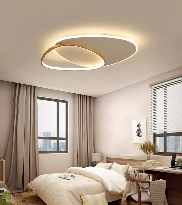 Oval Simple LED Ceiling Light