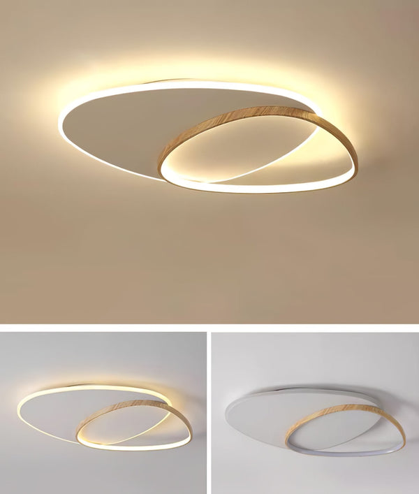 Oval Simple LED Ceiling Light