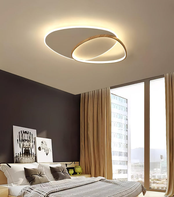Oval Simple LED Ceiling Light