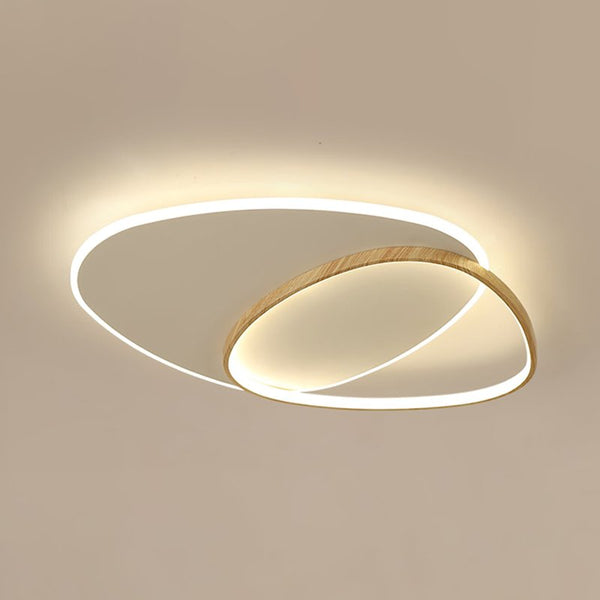 Oval Simple LED Ceiling Light