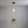 palma-pendant-lamp