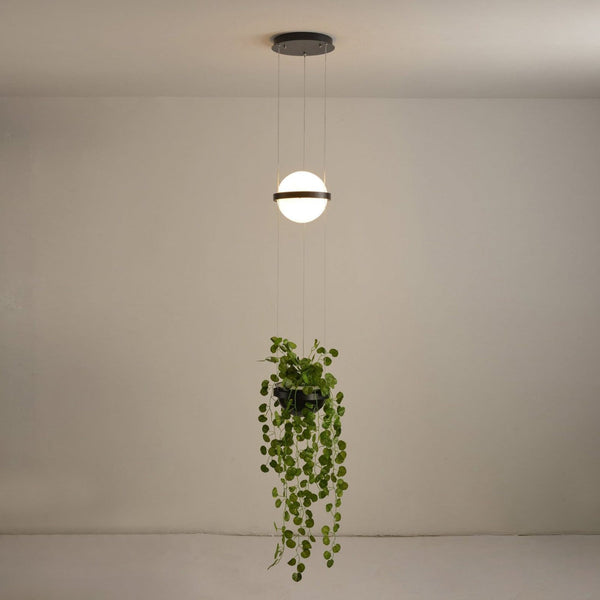 palma-pendant-lamp