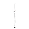 parentesi-pendant-light