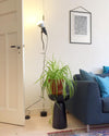parentesi-pendant-light