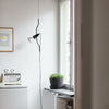parentesi-pendant-light