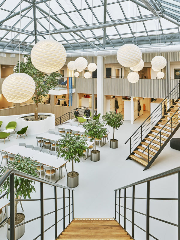 Patera Pendant Light