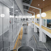 Patera Pendant Light
