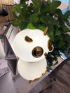 Pet Light