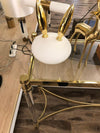 Pet Light