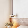 plate-pendant-lamp