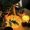 Portable Pumpkin Built In Battery Table Lamp