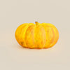 Portable Pumpkin Built In Battery Table Lamp