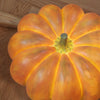 Portable Pumpkin Built In Battery Table Lamp