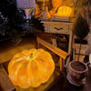 Portable Pumpkin Built In Battery Table Lamp